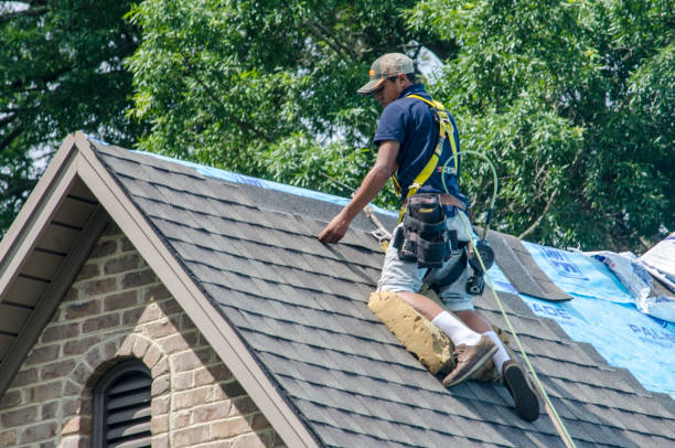 Roof Waterproofing Services in East Franklin, NJ